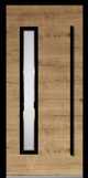 Model Hamilton